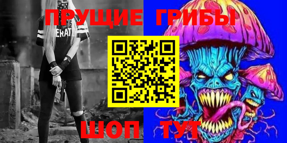 Чехов  Галлюциногенные грибы Psilocybine cubensis  Вход с VPN 